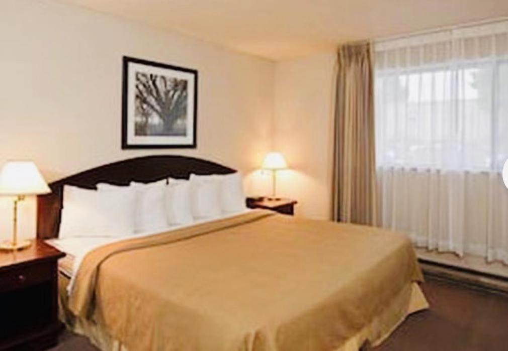 Art Infiniti Hotel Pitt Meadows Exterior foto